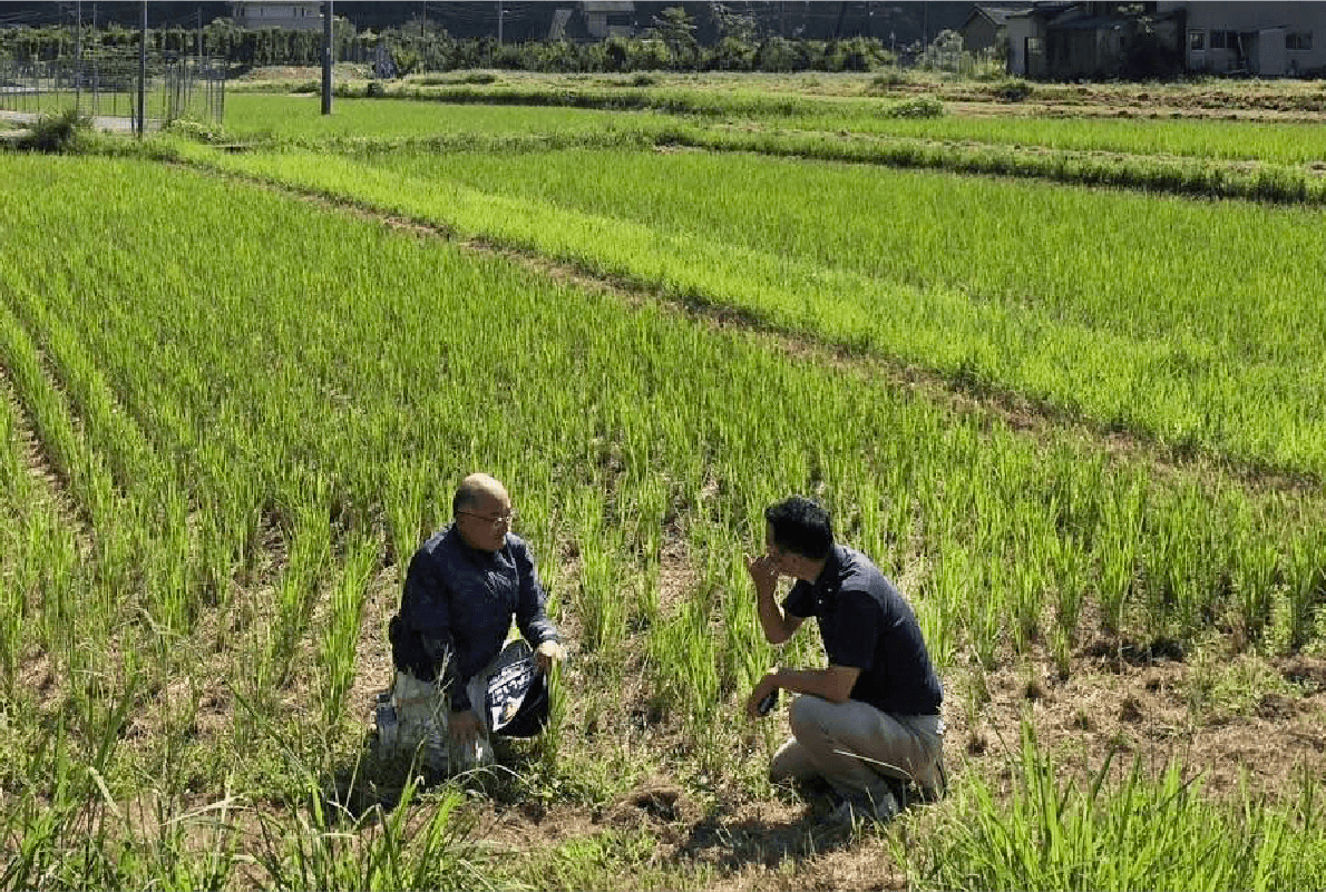 ⾷糧安全保障と⾷糧教育の推進